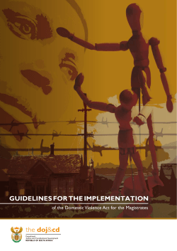Guidelines for the implementation of the