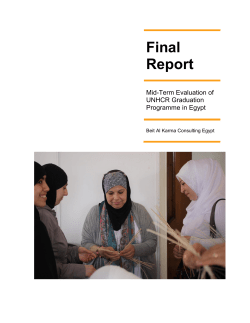 Mid-Term Evaluation &ndash; UNHCR Graduation Programme in Egypt