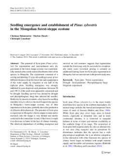 Seedling emergence and establishment of Pinus