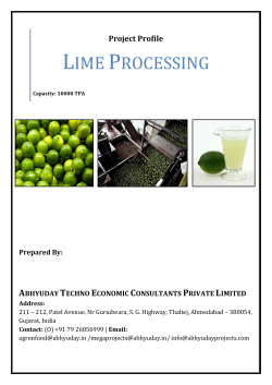 Lime Processing - Vibrant Gujarat