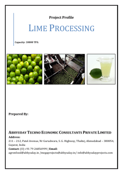 Lime Processing - Vibrant Gujarat