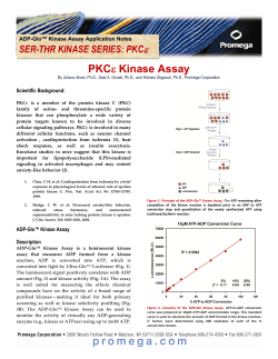 PKC epsilon Kinase Applications Note