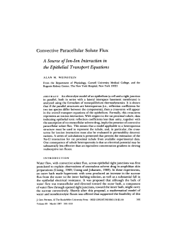 A Source ofIon-Ion Interaction in the Epithelial