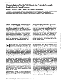 Characterization of the KLP68D Kinesin
