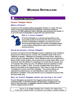Michigan Precinct Delegate Basics