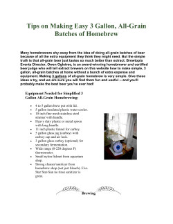 Tips on Making Easy 3 Gallon, All-Grain Batches