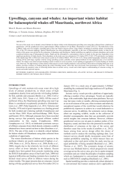 Upwellings, canyons and whales: An important winter habitat for