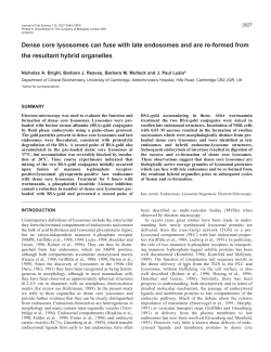 Dense core lysosomes can fuse with late endosomes and are re