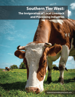 Meat Processing Study