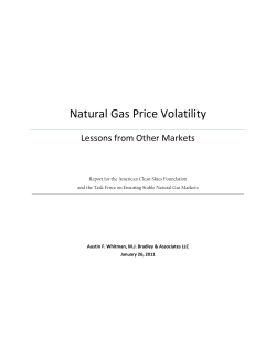 Natural Gas Price Volatility