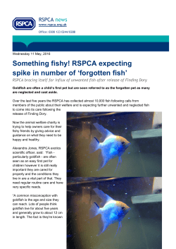 Something fishy! RSPCA expecting spike in number of `forgotten fish`