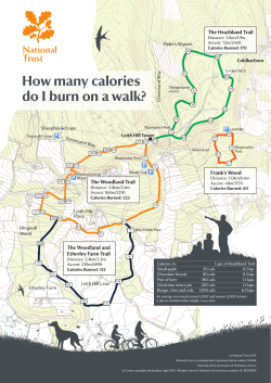 Find out how many calories you can burn on a walk