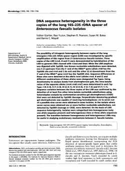 DNA sequence heterogeneity in the three