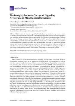 Full-Text PDF