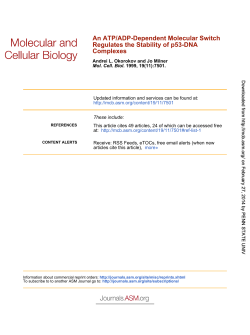 Complexes Regulates the Stability of p53