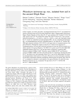 Rhizobium tarimense sp. nov., isolated from soil in the ancient Khiyik