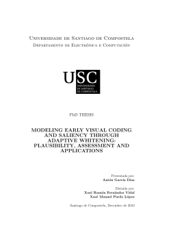 Modeling early visual coding and saliency through - CiTIUS