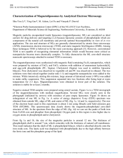 Characterization of Magnetoliposomes by Analytical Electron