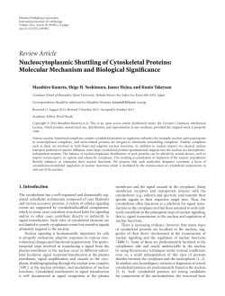 Nucleocytoplasmic Shuttling of Cytoskeletal Proteins: Molecular