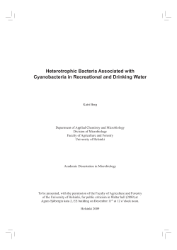 Heterotrophic Bacteria Associated with Cyanobacteria in