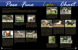 Paso Fino Color Chart - Paso Fino Horse Association