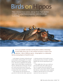 PDF - Fathom Corporate Training