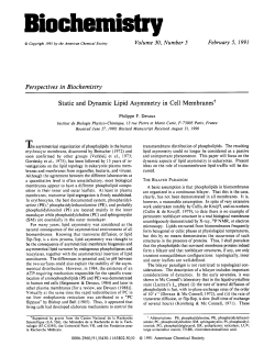 Perspectives in Biochemistry