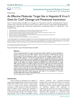 An Effective Molecular Target Site in Hepatitis B Virus S Gene for