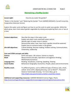 Grade 4 Lesson 8: Watering the garden