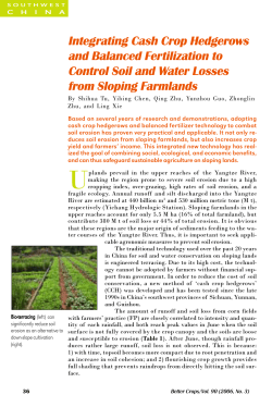 Integrating Cash Crop Hedgerows and Balanced Fertilization to