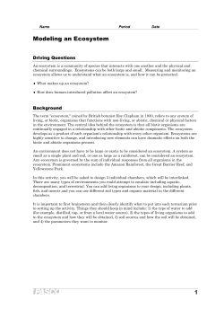 Modeling an Ecosystem