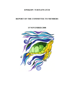 This report is divided into the following sections: