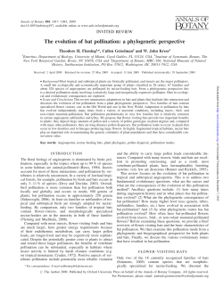 The evolution of bat pollination: a phylogenetic perspective