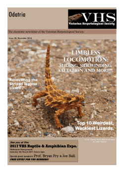 Odatria_20_DEC_16 - Victorian Herpetological Society