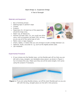 1 Beam Bridge vs. Suspension Bridge A Test of Strength Materials