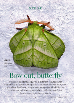 Moths &ndash; Bow out, Butterfly
