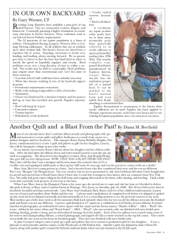 Another Quilt and a Blast From the Past! By Diana M. Berthold