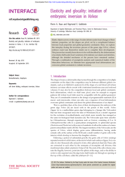 Elasticity and glocality: initiation of embryonic inversion in Volvox