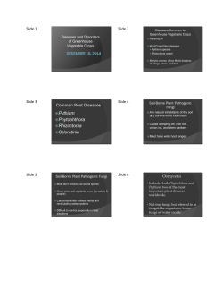 Common Root Diseases