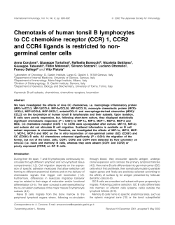 Chemotaxis of human tonsil B lymphocytes to CC chemokine receptor