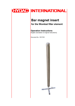 Bar magnet insert