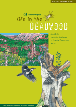 Life in the Deadwood - Forestry Commission