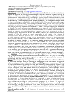 liste-research-projects 426 Kb