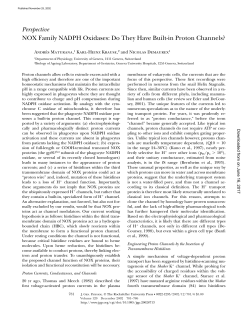 Perspective NOX Family NADPH Oxidases: Do They Have Built