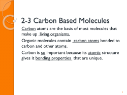 2-3 Carbon Based Molecules