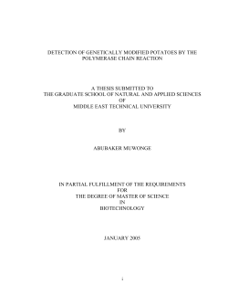 DETECTION OF GENETICALLY MODIFIED POTATOES BY THE