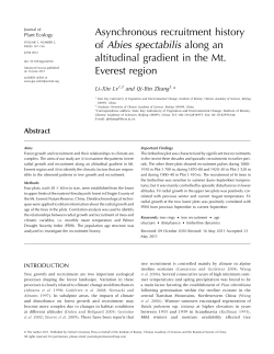 Asynchronous recruitment history of Abies