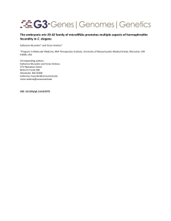 The embryonic mir-35-42 family of microRNAs promotes multiple