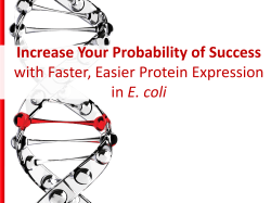 Increase Your Probability of Success with Faster, Easier