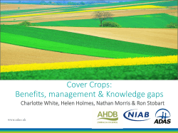 Title in sentence case